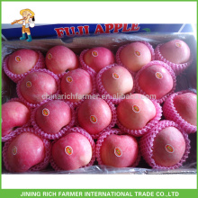 Export Chine Fruit Fresh Fuji Apple Fruit Avec le meilleur prix